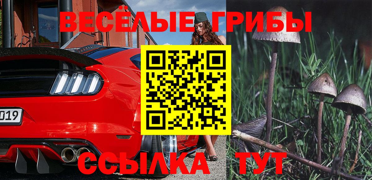Галлюциногенные грибы Cubensis Элиста