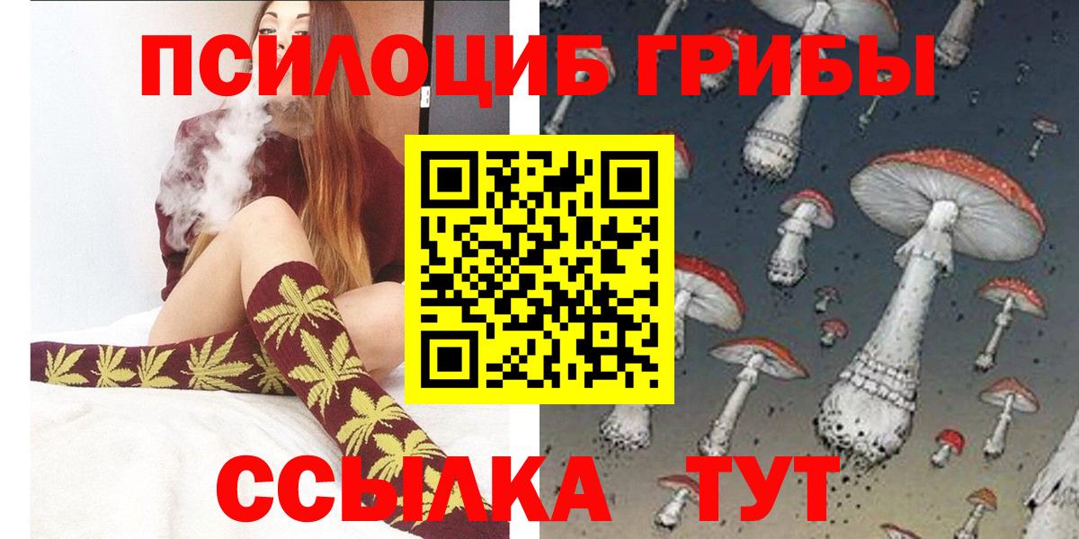 Элиста  Псилоцибиновые грибы Psilocybe  Вход с VPN  Псилоцибиновые грибы мухоморы 