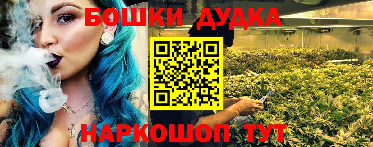 Бошки Шишки индика  Вход с VPN  МАРИХУАНА планчик  Бошки марихуана тримм  Элиста 